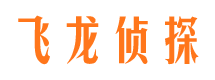 商城市侦探调查公司